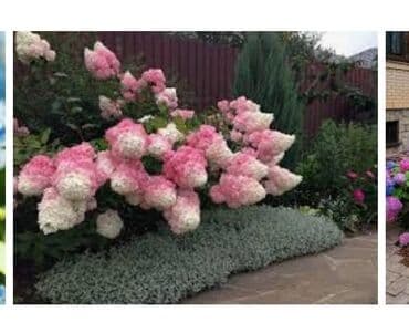 дизайнерский ремонт бишкек: Дизайн — 3