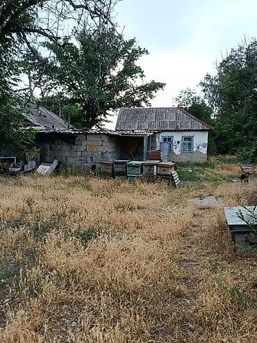 Кыймылсыз мүлк: Дом находится в Кемине, рядом школа, детсад,в шаговой доступности — 6