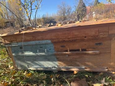 Деревянный Ящик, Б/у