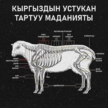 касапчы сокулук: Касапчы Бишкек шаар ичи жана сырты уй жылкы кой топоз ж.б сойуп — 2