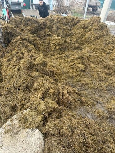 сушеные грибы купить: Сенаж сухой качественый +доставка Описание: - Натуральная — 3