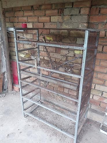 клетка для шиншиллы: Большой вольер/клетка для птиц - Просторная металлическая конструкция — 3