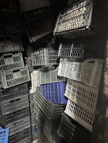 пластиковые ящики для фруктов и овощей цена: Ящик, Колдонулган — 1