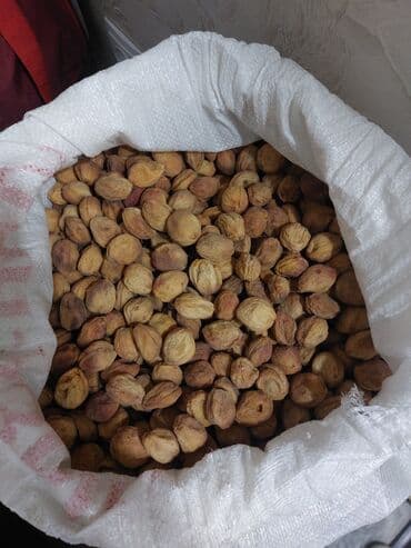 жасалма гулдор: Лейлектин жесең өрүгүн көтөрүлөт көңүлүң, күнүдө 1,2 ден жеп турсаң — 2