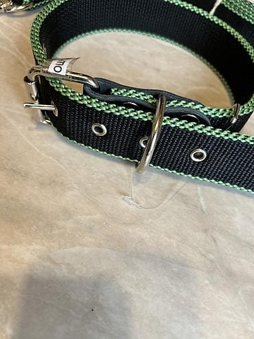 german shepherd: Комплект ошейник+поводок для крупных собак. Амуниция из нейлона — 4