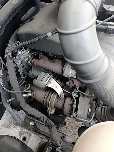 sprinter 516: Легкий грузовик, Mercedes-Benz, Стандарт — 4