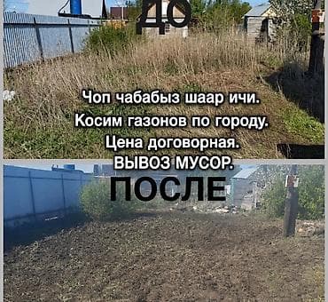 Клининговые услуги: Уборка территории, Стрижка газона — 1