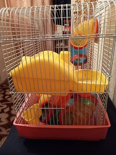 Морские свинки: Клетка для хомяка с игровым лабиринтом - Просторная металлическая — 3