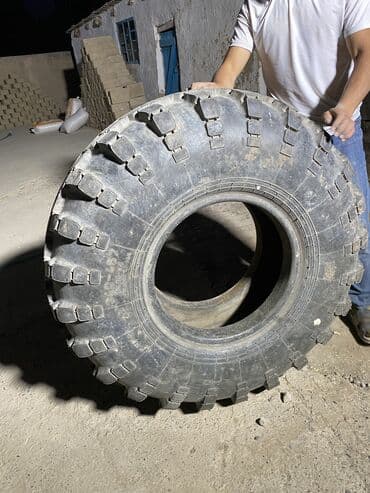 шины бишкек дордой цены: Шиналар — 6