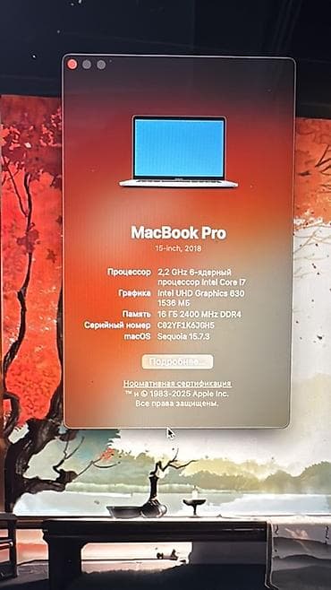 macbook pro 2011: MacBook Pro 15" (2018) - Экран: Retina - Процессор: 6‑ядерный Intel — 2