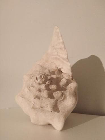 Декор жана интерьер: Крупная раковина королевской улитки (конх, Conch) — 5