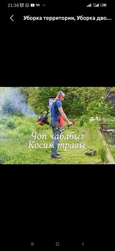 Уборка территории, Стрижка газона