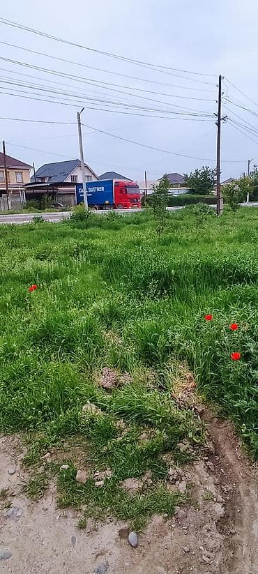 участка сатам: 4 соток, Для строительства, Красная книга — 6