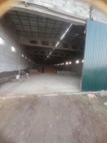 зерно ячмень: Кукуруза Жугору Мака ОПТОМ РОЗНИЦА ДРУГАЯ ЦЕНА Сухой Кургак — 1