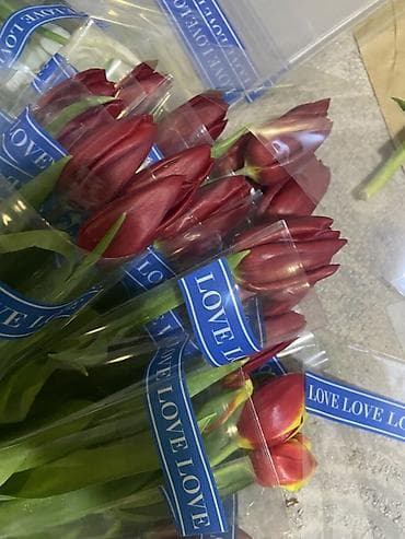 цветы искусственные бишкек: Тюльпаны срезанные, упаковка по тюку в крафт-бумаге. - Палитра — 7