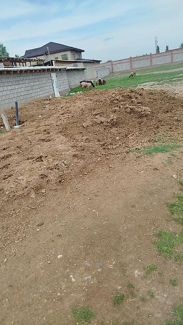 доска школьная для дома: Перегной/навоз для огорода выйдет примерно 1.5 2телешка Навоз — 3