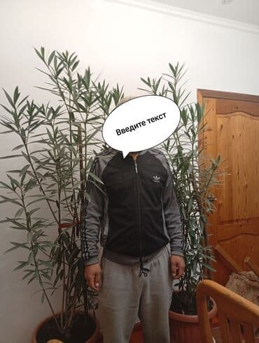 арбуз семена купить: Другие комнатные растения — 10