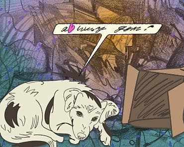 Отдам даром собаку: Собака даром: Дворняжка, 3 месяца, Самка — 1