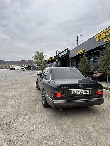 bid e5: Mercedes-Benz W124: 1993 г., 4.2 л, Седан — 1