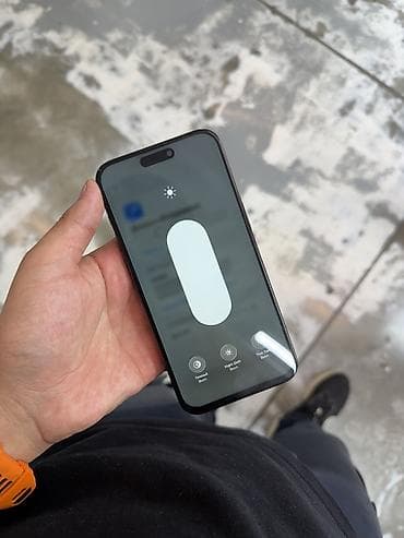 iphone plus: IPhone 15 Pro Max, 256 ГБ, 80 % — 6