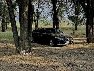 neta ls: Hyundai Sonata: 2019 г., 2 л, Автомат, Бензин, Седан — 5