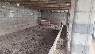 снять дом в кордае: Продаётся жилой дом с мансардный хороший район по адресу Салиева 148 — 8