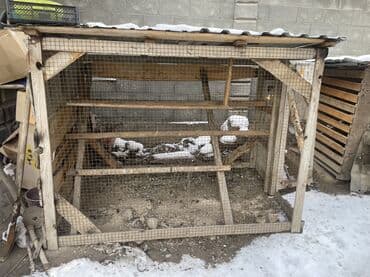 клетка бодоно: Ушул көчмө клетка сатылат абылы жакшы доставка да кылып бере алам — 1