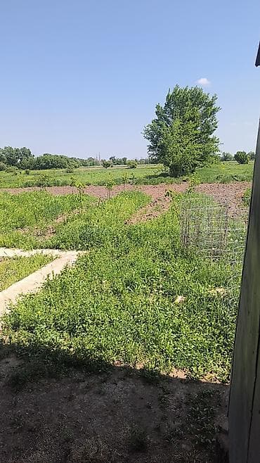 Үйлөрдү сатуу: Дачный участок с домиком и огородом - Просторный ровный участок в — 2