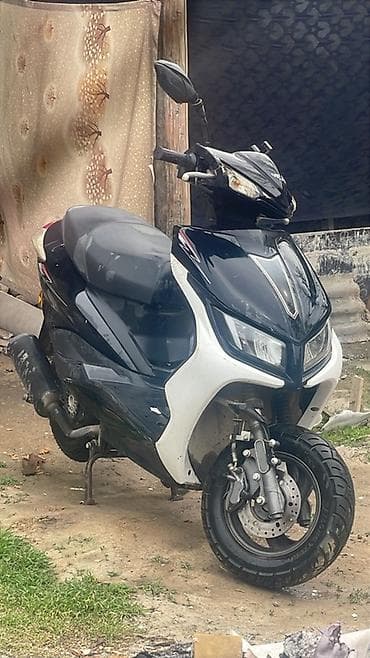 Рассмотр обмена Скуте р м8 –125 см³ (визуально) в черно-белом