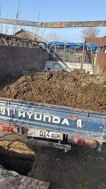 Авто кызматтары: Буйрутма берүү Хендай портер, Курулуш таштандыларын чыгаруу, Жүк ташуучу жумушчусу менен — 1