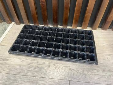 фитолампы для растений: Продам! Кассеты для выращивания рассады, 50 ячеек, по 50 мл, из — 1