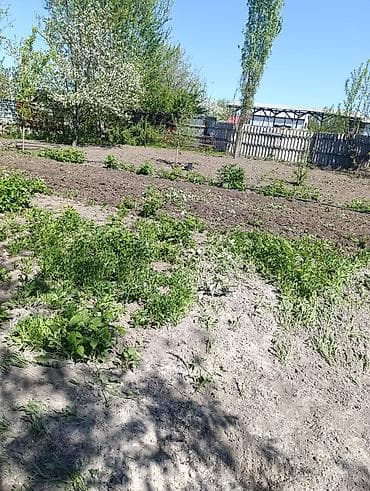 покраска авто бишкек: Услуги мотоблока — 9