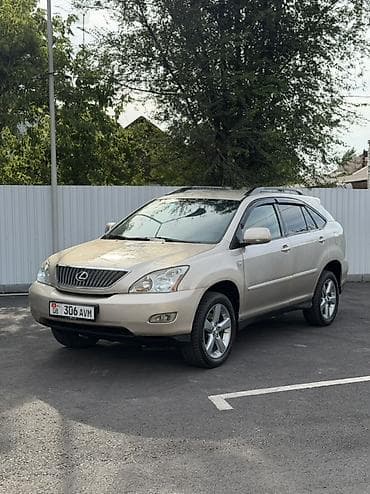 Lexus RX: 2003 г., 3 л, Типтроник, Газ, Кроссовер