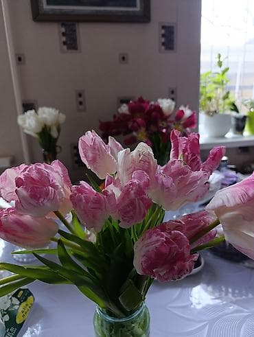 упаковка цветов: Пышный букет тюльпанов с махровыми лепестками. Оттенок — нежно‑розовый — 1