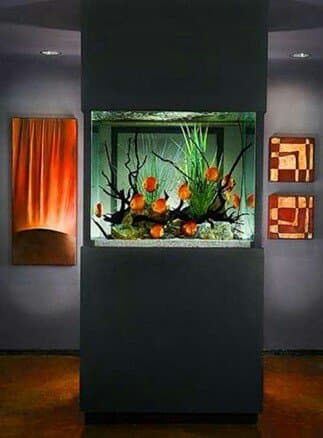 зоомагазин бишкек рядом: Террариумы для экзотических питомцев — 7