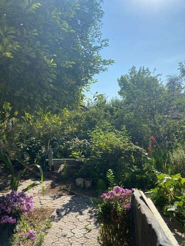 продается дом в маевке: Дом, 80 м², 4 комнаты, Собственник — 7