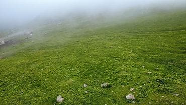 сел: Ферма КРС, 30 соток, Не действующий, Без оборудования, Без коммуникаций — 7