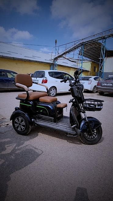 скорый: Электрический трёхколёсный скутер с пассажирским сиденьем - Тип — 1