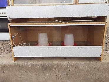 уй жаныбар: Брудер для цыплят/молодняка птицы - Закрытая теплая коробка с — 10