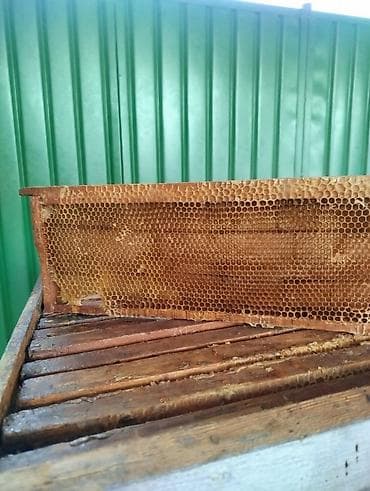 Продаю магазинную сушь,полурамка.В количестве 240 шт.Цена 60 сом за шт