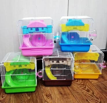 Ламинат: Продаю джунгарских и сирийских хомячков,а так же — 9