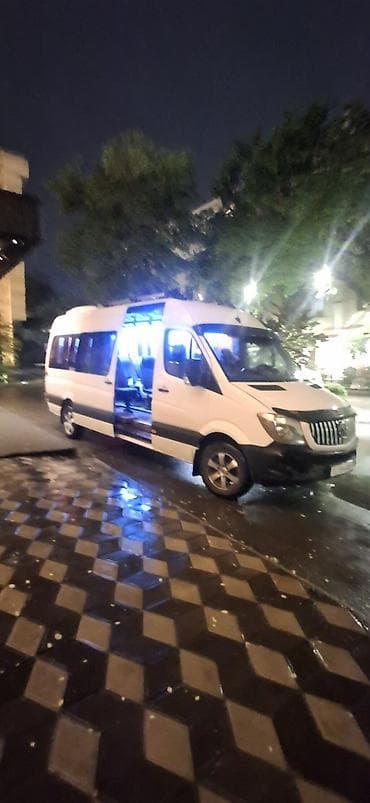 толстовка с замком: Пассажирский микроавтобус бус на заказ Mercedes-Benz Sprinter — 7