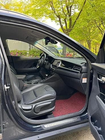авто 312: Kia Niro: 2019 г., 1.6 л, Робот, Гибрид, Кроссовер — 10