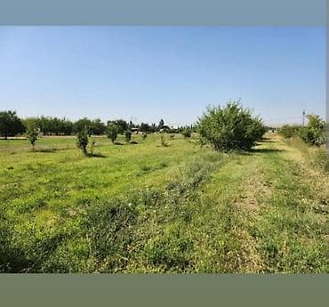 5 соток Для бизнеса, Электричество, Водопровод