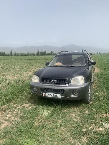 Hyundai Santa Fe: 2001 г., 2.4 л, Механика, Бензин, Кроссовер