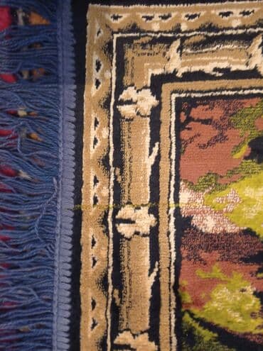 Тошоки: Ковер Б/у, 200 * 100 — 10