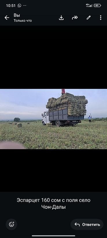 ит ош итер: Эспарцет тук сатылат село Чон-Далы ново Пакровка — 1