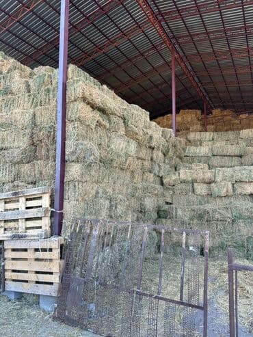 корм для домашних животных: Сено в тюках (прямоугольные кипы), складское хранение под навесом. - — 1