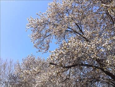 детский фотоаппарат с моментальной печатью: 📸 Цифровая камера S95 Pro с Wi-Fi Новая компактная камера в фирменной — 5