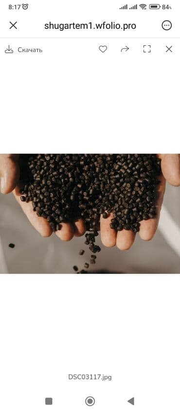 флипчарты 100 х 100 см настенные: Корма для форели и сазана.Изготовлен на современном — 1